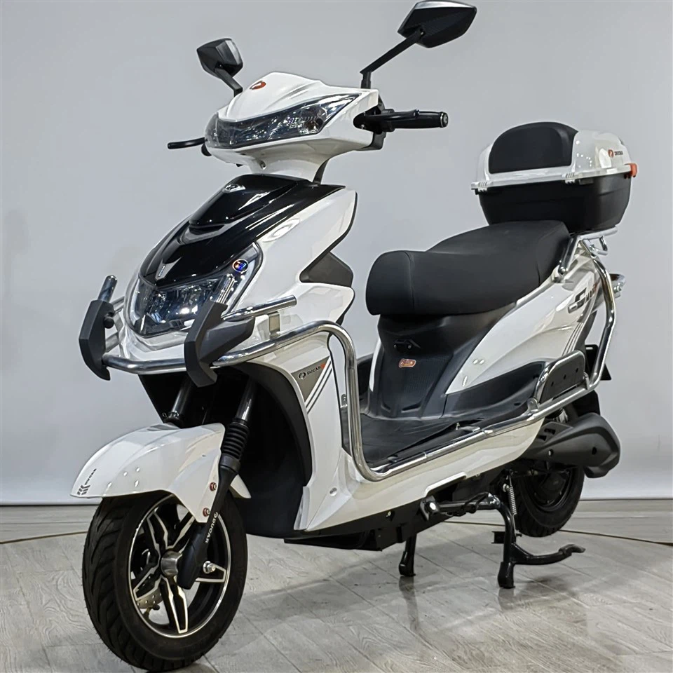1000W Electric Motorcycle